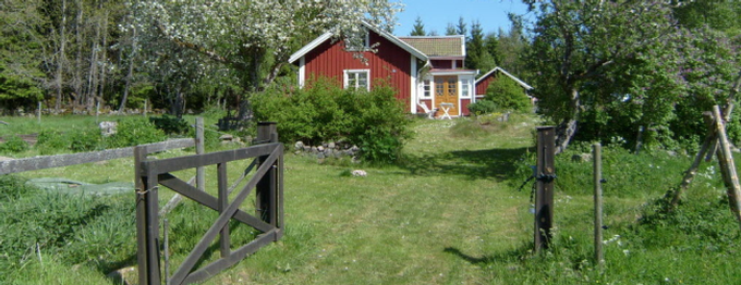 Ferienhaus in Schweden? So wird der Traum Wirklichkeit