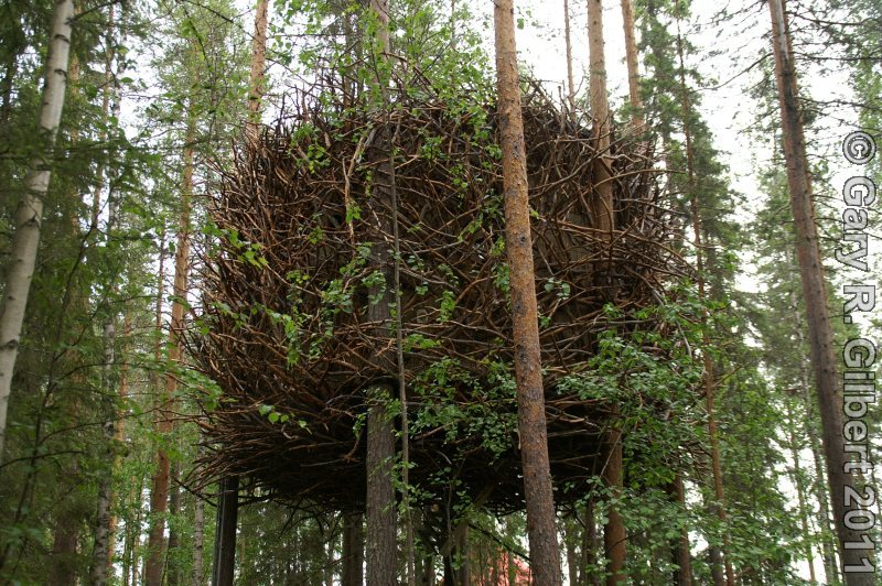Schwedenbilder Baumhotel Treehotel Schweden Bj  rklunda